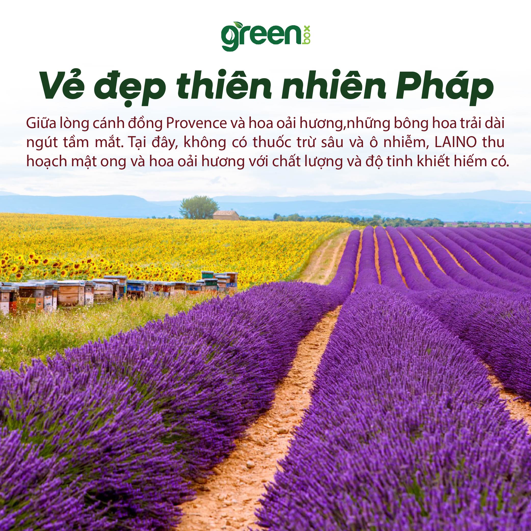 Gel rửa mặt tẩy trang tạo bọt dịu nhẹ dành cho da nhạy cảm LAINO Pháp chiết xuất oải hương mật ong thành phần tự nhiên không paraben, tuýp 200ml