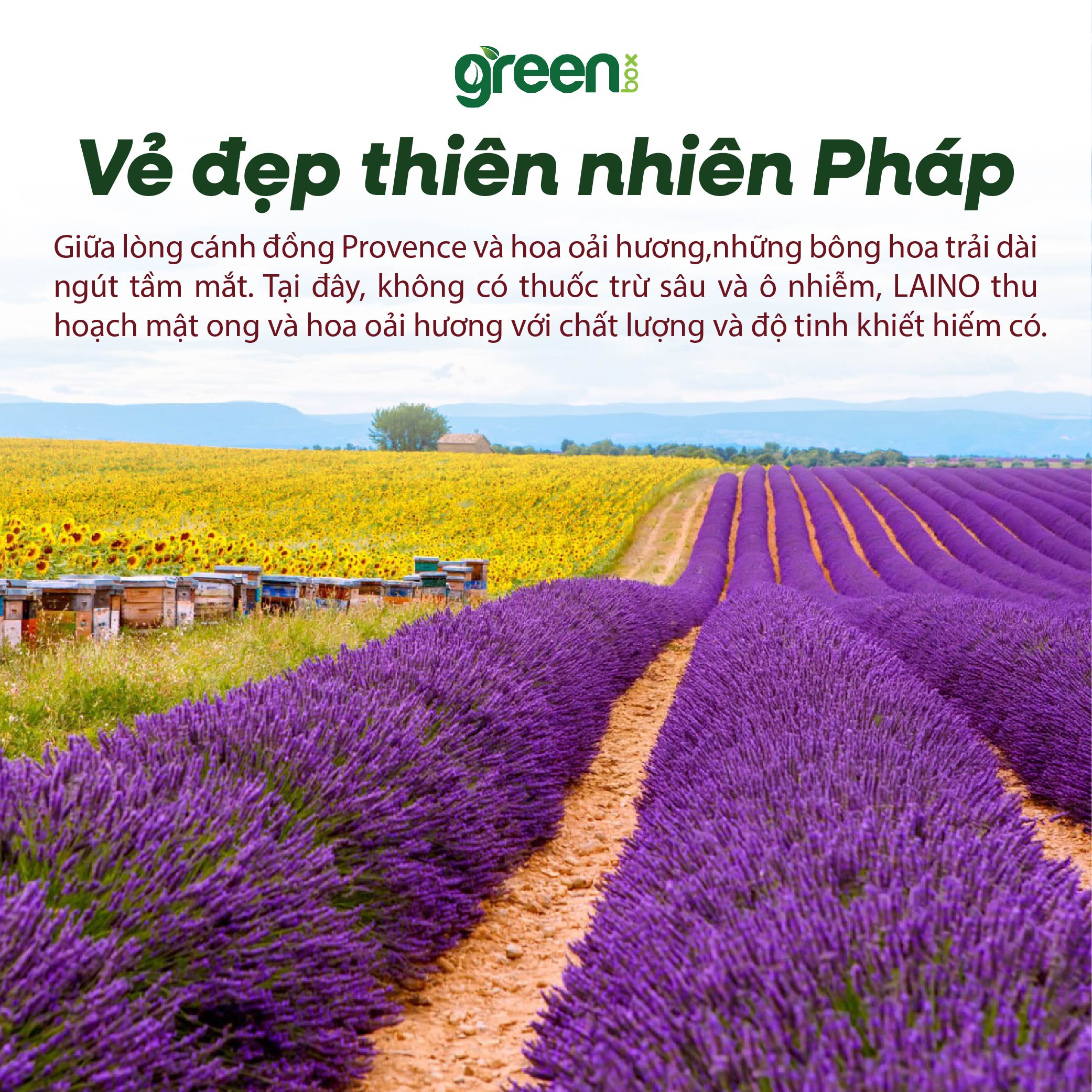 Kem dưỡng ẩm LAINO Pháp ngăn ngừa lão hóa cấp ẩm 24h cho da nhạy cảm 97% tự nhiên chứa HA và chiết xuất oải hương mật ong, hộp/tuýp 40ml
