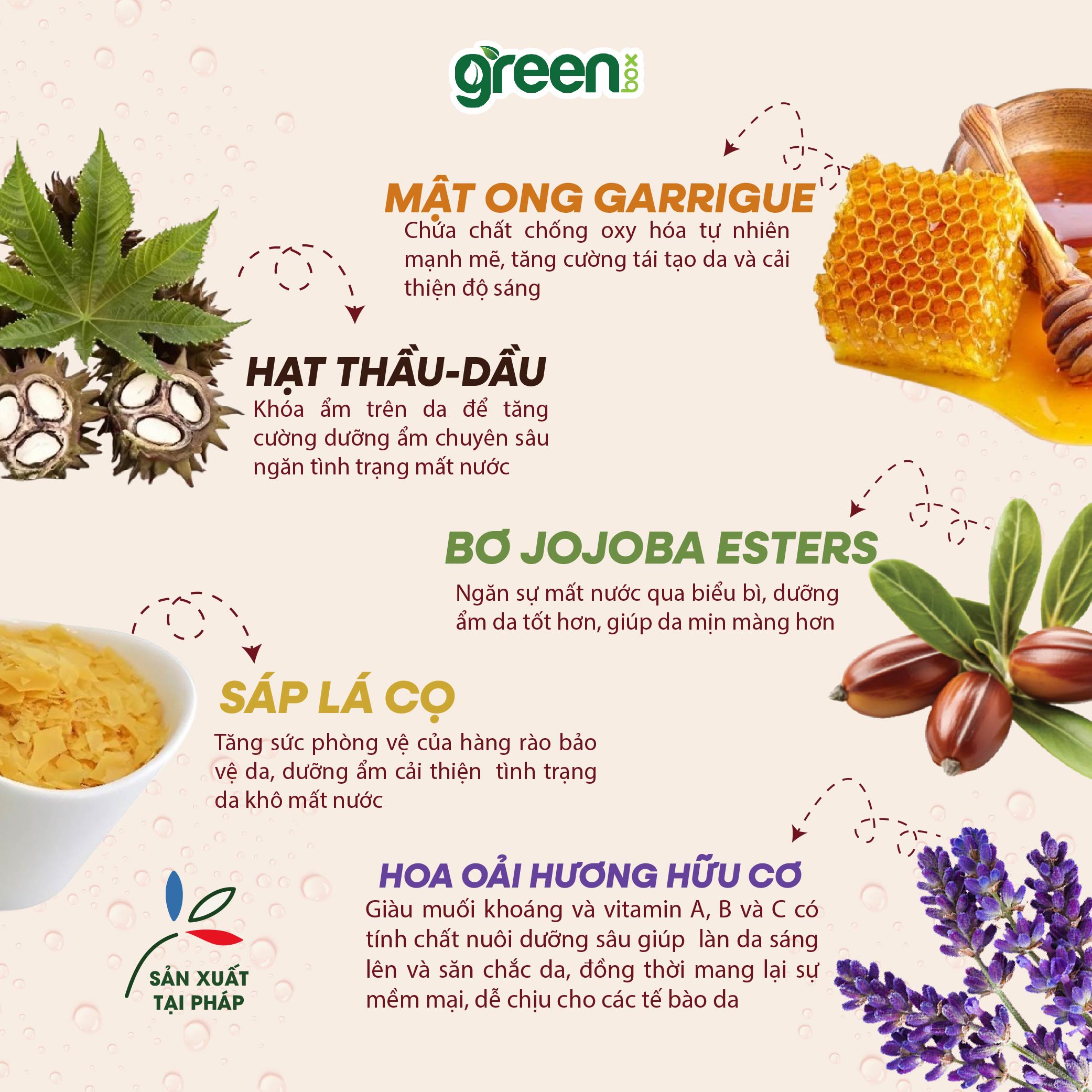 Kem dưỡng ẩm LAINO Pháp ngăn ngừa lão hóa cấp ẩm 24h cho da nhạy cảm 97% tự nhiên chứa HA và chiết xuất oải hương mật ong, hộp/tuýp 40ml