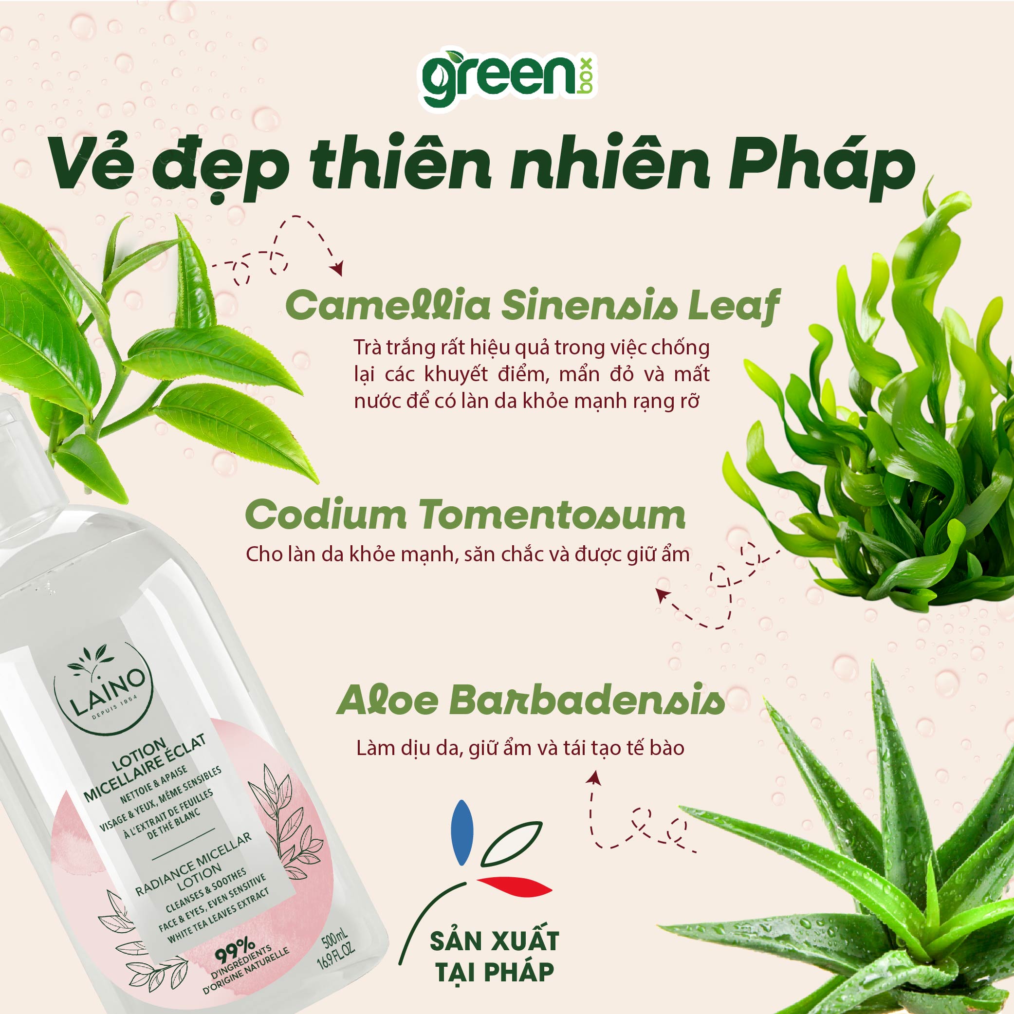 Nước tẩy trang không cồn Laino micellar lotion chiết xuất trà trắng lô hội prebiotic tự nhiên Laino Pháp, chai 500ml