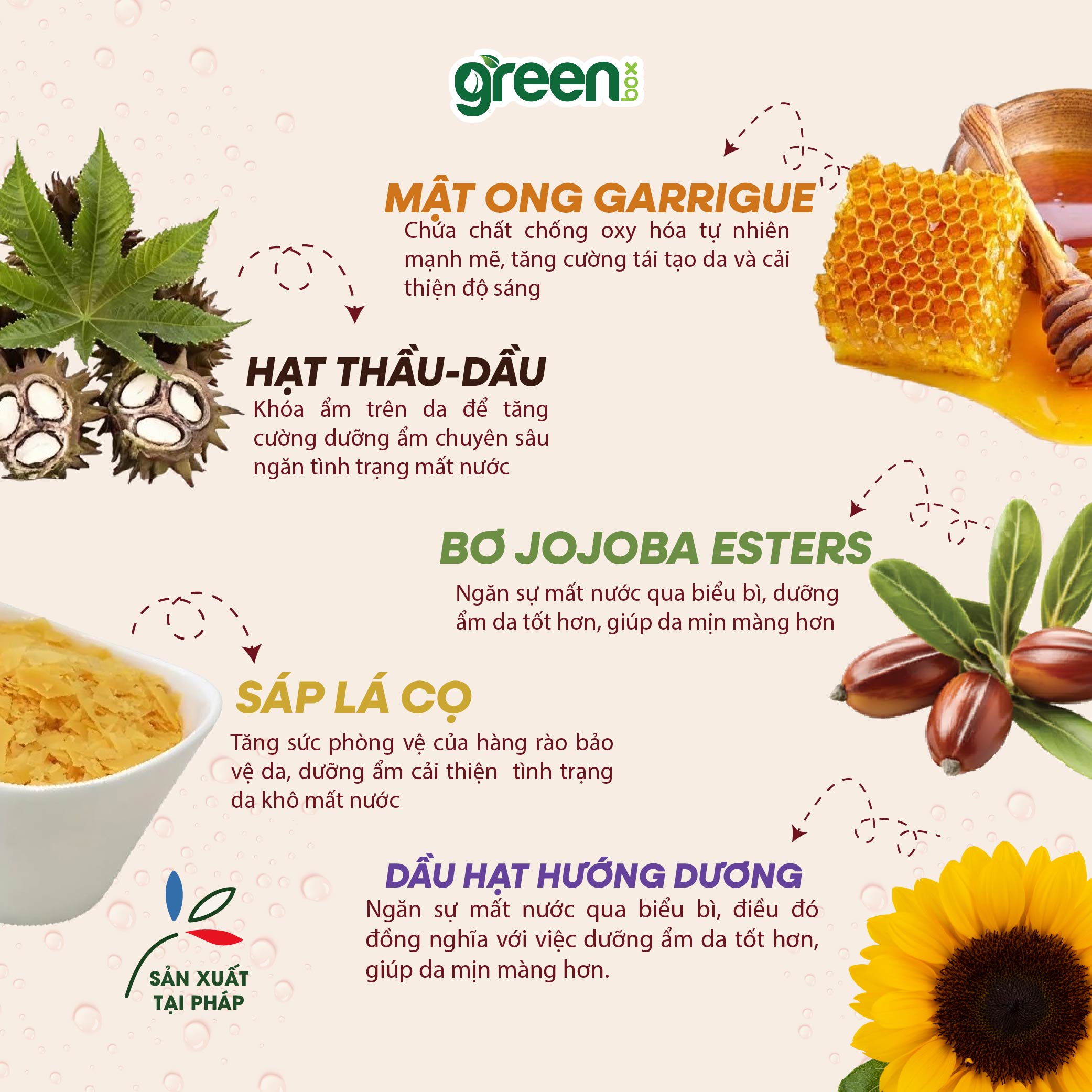 Son dưỡng LAINO Pháp cấp ẩm chuyên sâu cho môi khô Pro Intense 99% tự nhiên chứa sáp ong và bơ hạt mỡ, Thỏi 4g