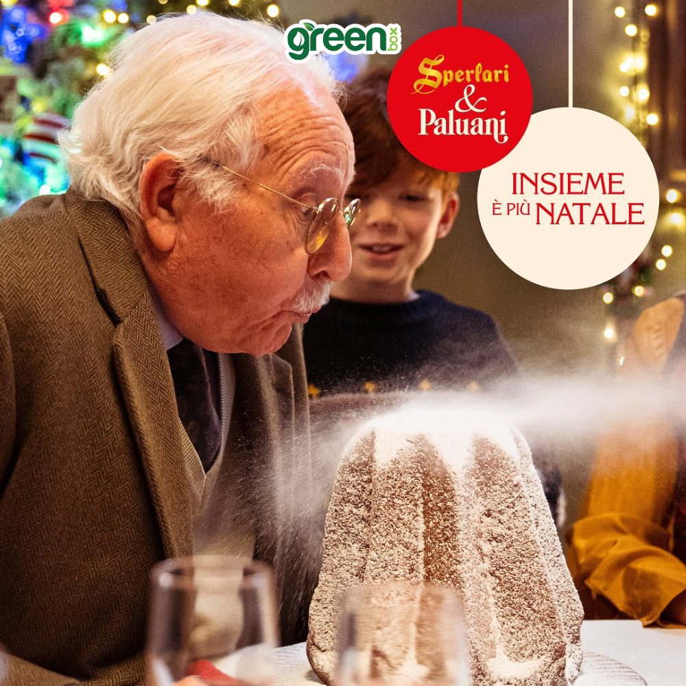 Bánh Giáng Sinh PALUANI Bánh Pandoro Verona 500g, Xuất Xứ Ý